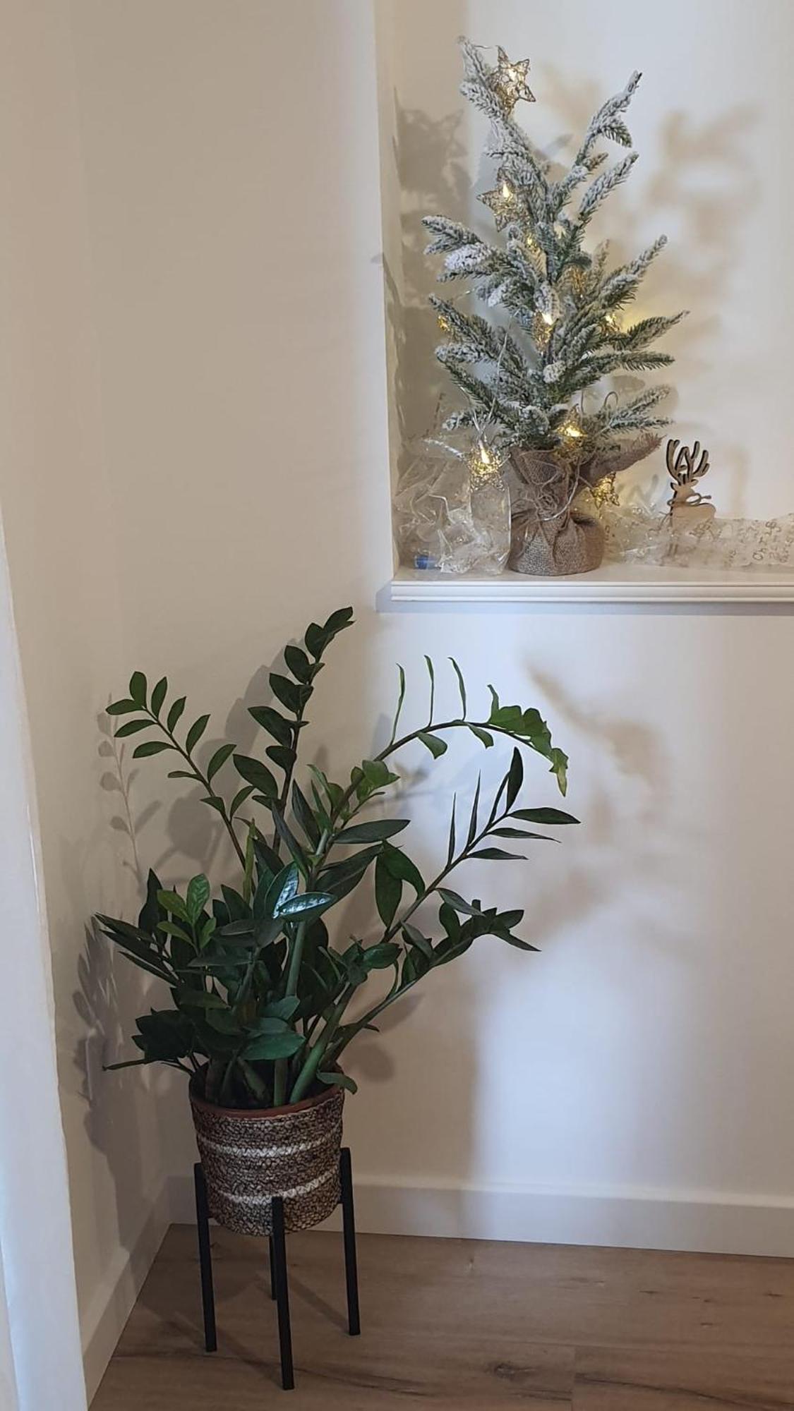 Apartman Lili سبليت المظهر الخارجي الصورة